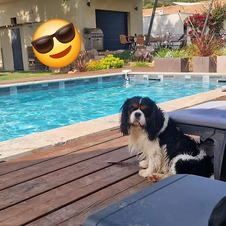 Casasantellix Apartment *