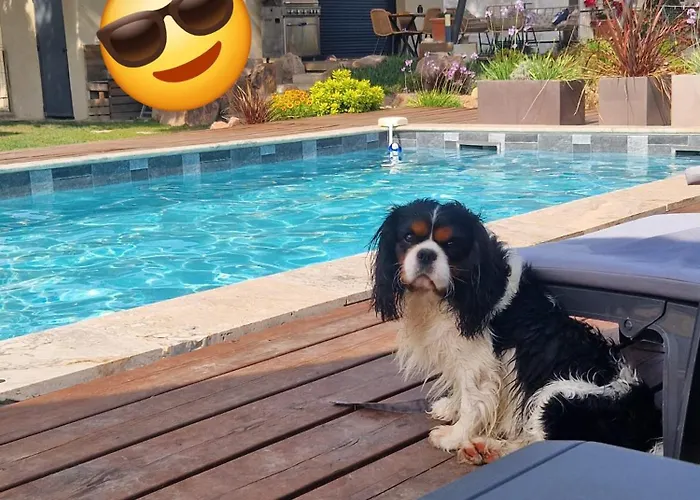 Casasantellix Appartement *