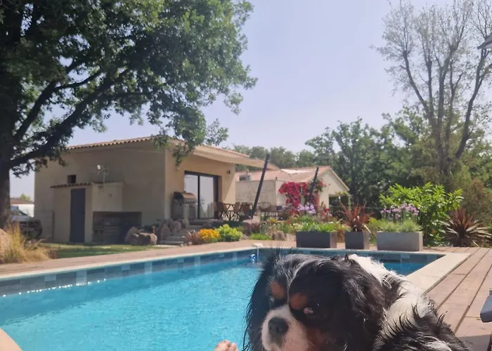 Appartement Casasantellix